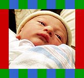 baby 7
